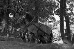 Název souboru=2012_pankova_07108.jpg
Velikost souboru=432KB
Rozměry=1100x734
Datum přidání=31. Červenec 2012 2012_pankova_07108.jpg