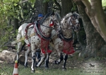 Název souboru=2012_pankova_07164.jpg
Velikost souboru=329KB
Rozměry=900x643
Datum přidání=31. Červenec 2012 2012_pankova_07164.jpg
