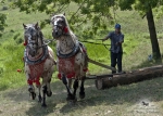 Název souboru=2012_pankova_07170.jpg
Velikost souboru=575KB
Rozměry=1100x786
Datum přidání=31. Červenec 2012 2012_pankova_07170.jpg