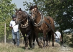 Název souboru=2012_pankova_07199.jpg
Velikost souboru=490KB
Rozměry=1100x786
Datum přidání=31. Červenec 2012 2012_pankova_07199.jpg