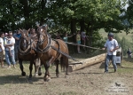 Název souboru=2012_pankova_07225.jpg
Velikost souboru=596KB
Rozměry=1100x786
Datum přidání=31. Červenec 2012 2012_pankova_07225.jpg