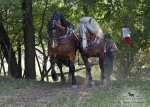Název souboru=2012_pankova_07313.jpg
Velikost souboru=546KB
Rozměry=1100x786
Datum přidání=31. Červenec 2012 2012_pankova_07313.jpg