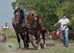 Název souboru=2012_pankova_07326.jpg
Velikost souboru=333KB
Rozměry=900x643
Datum přidání=31. Červenec 2012 2012_pankova_07326.jpg
