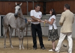 Název souboru=2012_pankova_shagya-07623.jpg
Velikost souboru=200KB
Rozměry=800x572
Datum přidání=27. Srpen 2012 2012_pankova_shagya-07623.jpg