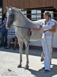 Název souboru=2012_pankova_shagya-07970.jpg
Velikost souboru=298KB
Rozměry=675x900
Datum přidání=07. Září 2012 2012_pankova_shagya-07970.jpg