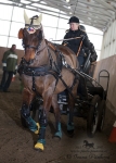 Název souboru=2013_pankova-00246.jpg
Velikost souboru=131KB
Rozměry=429x600
Datum přidání=14. Březen 2013 2013_pankova-00246.jpg