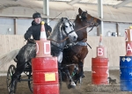 Název souboru=2013_pankova-00594.jpg
Velikost souboru=144KB
Rozměry=600x429
Datum přidání=11. Březen 2013 2013_pankova-00594.jpg