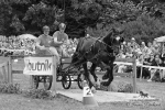 Název souboru=2013_photo-pankova-02780.jpg
Velikost souboru=293KB
Rozměry=900x600
Datum přidání=20. Červenec 2013 2013_photo-pankova-02780.jpg