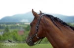 Název souboru=2014_pankova-01761.jpg
Velikost souboru=124KB
Rozměry=900x599
Datum přidání=08. Červen 2014 2014_pankova-01761.jpg