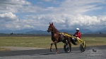 Název souboru=2014_pankova-03416.jpg
Velikost souboru=239KB
Rozměry=1100x619
Datum přidání=05. Červenec 2014 2014_pankova-03416.jpg