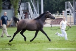 Název souboru=2014_pankova-04813.jpg
Velikost souboru=249KB
Rozměry=900x601
Datum přidání=27. Srpen 2014 2014_pankova-04813.jpg