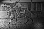 Název souboru=2014_pankova-05998.jpg
Velikost souboru=143KB
Rozměry=800x533
Datum přidání=13. Září 2014 2014_pankova-05998.jpg