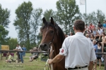 Název souboru=2015_pankova-02072.jpg
Velikost souboru=196KB
Rozměry=900x600
Datum přidání=30. Červenec 2015 2015_pankova-02072.jpg