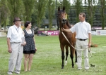 Název souboru=2015_pankova-02093.jpg
Velikost souboru=283KB
Rozměry=900x643
Datum přidání=30. Červenec 2015 2015_pankova-02093.jpg