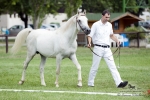 Název souboru=2015_pankova-02112.jpg
Velikost souboru=224KB
Rozměry=900x600
Datum přidání=30. Červenec 2015 2015_pankova-02112.jpg
