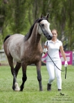 Název souboru=2015_pankova-02118.jpg
Velikost souboru=222KB
Rozměry=643x900
Datum přidání=30. Červenec 2015 2015_pankova-02118.jpg