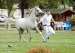 Název souboru=2015_pankova-02134.jpg
Velikost souboru=275KB
Rozměry=900x643
Datum přidání=30. Červenec 2015 2015_pankova-02134.jpg