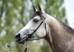 Název souboru=2015_pankova-02139.jpg
Velikost souboru=211KB
Rozměry=900x643
Datum přidání=30. Červenec 2015 2015_pankova-02139.jpg