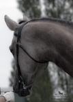 Název souboru=2015_pankova-02143.jpg
Velikost souboru=157KB
Rozměry=643x900
Datum přidání=30. Červenec 2015 2015_pankova-02143.jpg
