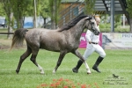 Název souboru=2015_pankova-02170.jpg
Velikost souboru=267KB
Rozměry=900x601
Datum přidání=30. Červenec 2015 2015_pankova-02170.jpg