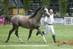 Název souboru=2015_pankova-02180.jpg
Velikost souboru=258KB
Rozměry=900x601
Datum přidání=30. Červenec 2015 2015_pankova-02180.jpg