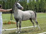 Název souboru=2015_pankova-02185.jpg
Velikost souboru=330KB
Rozměry=900x675
Datum přidání=30. Červenec 2015 2015_pankova-02185.jpg