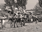 Název souboru=2015_pankova-02192.jpg
Velikost souboru=324KB
Rozměry=900x675
Datum přidání=30. Červenec 2015 2015_pankova-02192.jpg