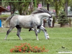 Název souboru=2015_pankova-02212.jpg
Velikost souboru=293KB
Rozměry=900x675
Datum přidání=30. Červenec 2015 2015_pankova-02212.jpg