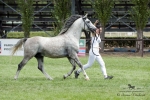 Název souboru=2015_pankova-02214.jpg
Velikost souboru=258KB
Rozměry=900x600
Datum přidání=30. Červenec 2015 2015_pankova-02214.jpg
