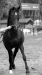 Název souboru=2015_pankova-02584.jpg
Velikost souboru=144KB
Rozměry=506x900
Datum přidání=30. Červenec 2015 2015_pankova-02584.jpg
