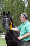 Název souboru=2015_pankova-02611.jpg
Velikost souboru=224KB
Rozměry=601x900
Datum přidání=30. Červenec 2015 2015_pankova-02611.jpg