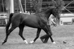 Název souboru=2015_pankova-02619.jpg
Velikost souboru=186KB
Rozměry=900x600
Datum přidání=30. Červenec 2015 2015_pankova-02619.jpg