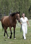 Název souboru=2015_pankova-02672.jpg
Velikost souboru=251KB
Rozměry=643x900
Datum přidání=30. Červenec 2015 2015_pankova-02672.jpg
