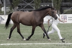 Název souboru=2015_pankova-02677.jpg
Velikost souboru=221KB
Rozměry=900x600
Datum přidání=30. Červenec 2015 2015_pankova-02677.jpg