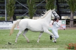 Název souboru=2015_pankova-02682.jpg
Velikost souboru=234KB
Rozměry=900x600
Datum přidání=30. Červenec 2015 2015_pankova-02682.jpg