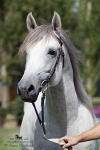 Název souboru=2015_pankova-02762.jpg
Velikost souboru=175KB
Rozměry=600x900
Datum přidání=30. Červenec 2015 2015_pankova-02762.jpg