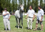 Název souboru=2015_pankova-02771.jpg
Velikost souboru=364KB
Rozměry=900x643
Datum přidání=30. Červenec 2015 2015_pankova-02771.jpg