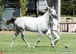 Název souboru=2015_pankova-02793.jpg
Velikost souboru=263KB
Rozměry=900x643
Datum přidání=30. Červenec 2015 2015_pankova-02793.jpg