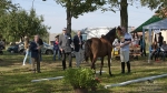 Název souboru=2015_pankova-04780.jpg
Velikost souboru=465KB
Rozměry=1100x619
Datum přidání=24. Září 2015 2015_pankova-04780.jpg