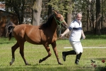 Název souboru=2015_pankova-04784.jpg
Velikost souboru=292KB
Rozměry=900x601
Datum přidání=24. Září 2015 2015_pankova-04784.jpg