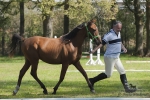 Název souboru=2015_pankova-04789.jpg
Velikost souboru=261KB
Rozměry=900x601
Datum přidání=24. Září 2015 2015_pankova-04789.jpg