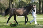 Název souboru=2015_pankova-04794.jpg
Velikost souboru=249KB
Rozměry=900x600
Datum přidání=24. Září 2015 2015_pankova-04794.jpg