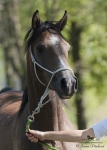 Název souboru=2015_pankova-04798.jpg
Velikost souboru=196KB
Rozměry=643x900
Datum přidání=24. Září 2015 2015_pankova-04798.jpg