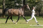 Název souboru=2015_pankova-04809.jpg
Velikost souboru=306KB
Rozměry=900x600
Datum přidání=24. Září 2015 2015_pankova-04809.jpg