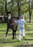 Název souboru=2015_pankova-04819.jpg
Velikost souboru=312KB
Rozměry=643x900
Datum přidání=24. Září 2015 2015_pankova-04819.jpg