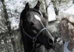 Název souboru=2015_pankova-04848.jpg
Velikost souboru=203KB
Rozměry=900x643
Datum přidání=24. Září 2015 2015_pankova-04848.jpg