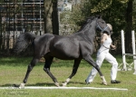 Název souboru=2015_pankova-04860.jpg
Velikost souboru=316KB
Rozměry=900x642
Datum přidání=24. Září 2015 2015_pankova-04860.jpg