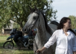 Název souboru=2015_pankova-04905.jpg
Velikost souboru=213KB
Rozměry=900x643
Datum přidání=24. Září 2015 2015_pankova-04905.jpg