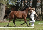 Název souboru=2015_pankova-04906.jpg
Velikost souboru=298KB
Rozměry=900x643
Datum přidání=24. Září 2015 2015_pankova-04906.jpg