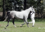 Název souboru=2015_pankova-04938.jpg
Velikost souboru=326KB
Rozměry=900x643
Datum přidání=24. Září 2015 2015_pankova-04938.jpg